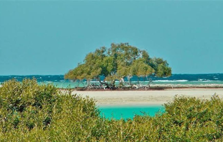 Sharm El Louli & Qullan Island