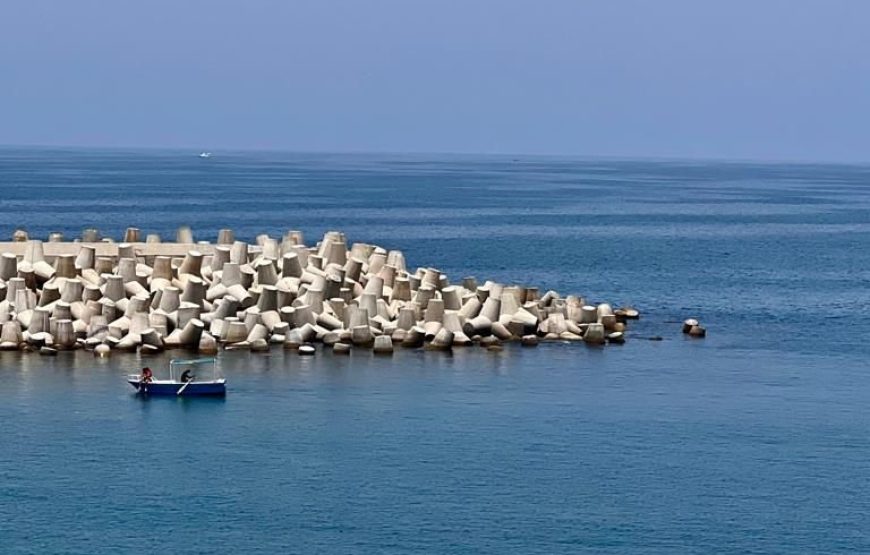 Alexandria Trip