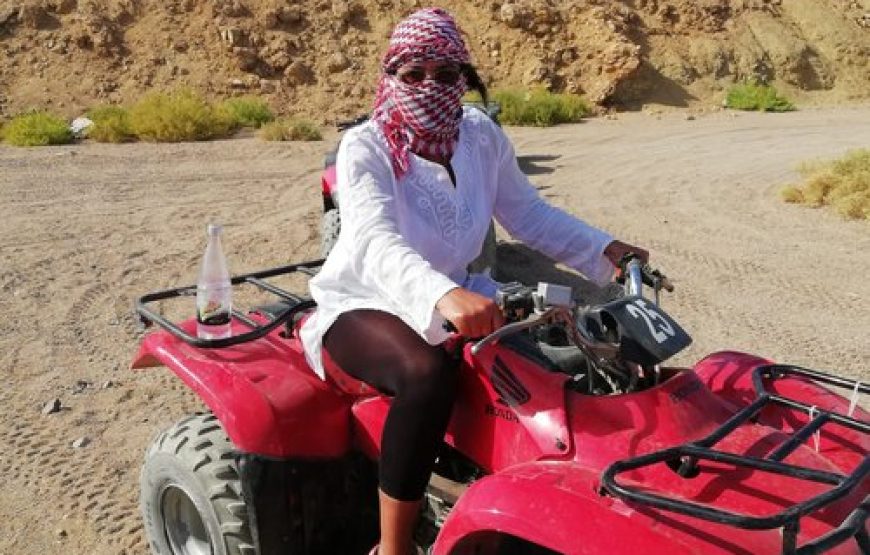 Quad Safari