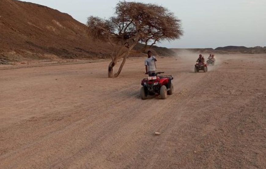 Quad Safari
