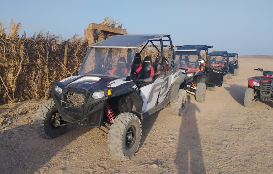 Buggy Safari