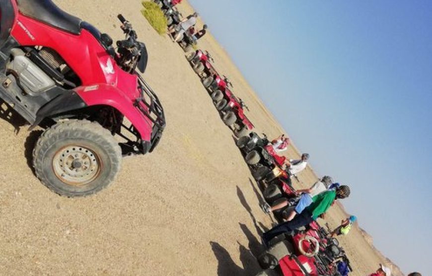 Quad Safari