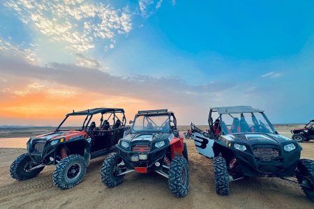 Buggy Safari