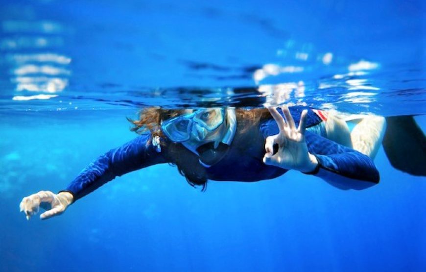Scuba Diving