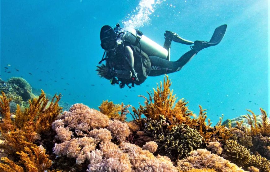 Scuba Diving