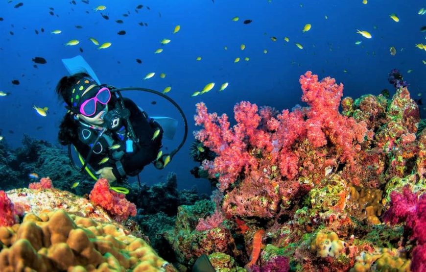 Scuba Diving