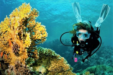 Scuba Diving