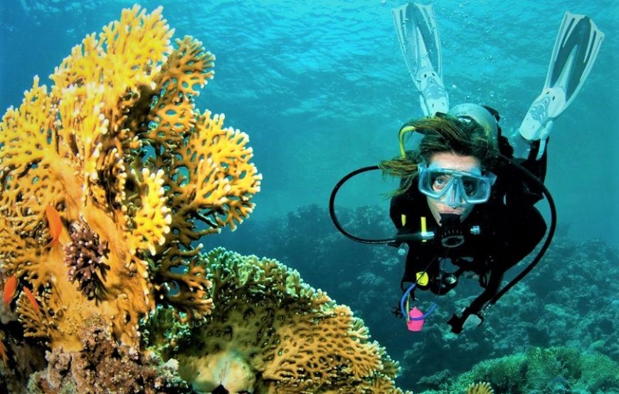 Scuba Diving