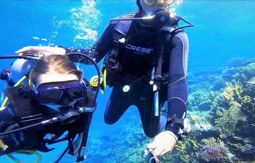 Scuba Diving